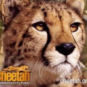 Meet your Posher, Sue